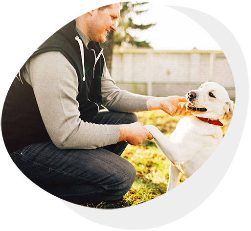 Pension Canine