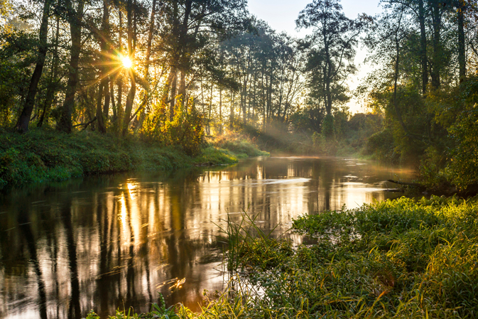 Titre Professionnel Ouvrier du Génie Écologique