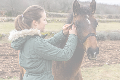 CS Éducation & Travail des Jeunes Équidés