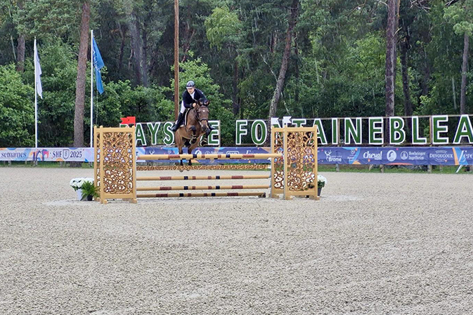 CS Éducation & Travail des Jeunes Équidés