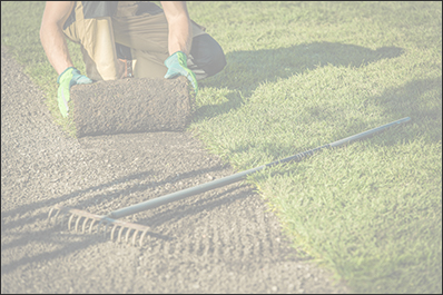 CS Sols Sportifs Engazonnés