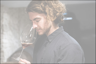 Maîtriser les étapes clés de l'élaboration d'un vin