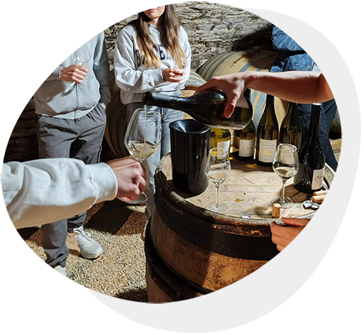 Anglais du Vin